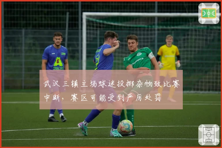 武汉三镇主场球迷投掷杂物致比赛中断，赛区可能受到严厉处罚