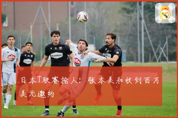 日本T联赛抢人:张本美和收到百万美元邀约