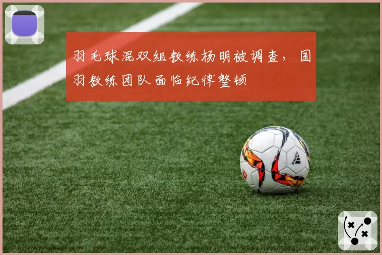 羽毛球混双组教练杨明被调查，国羽教练团队面临纪律整顿